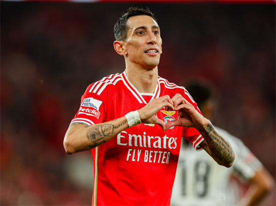 本菲卡欧冠征途：绝境中绽放的奇迹之花